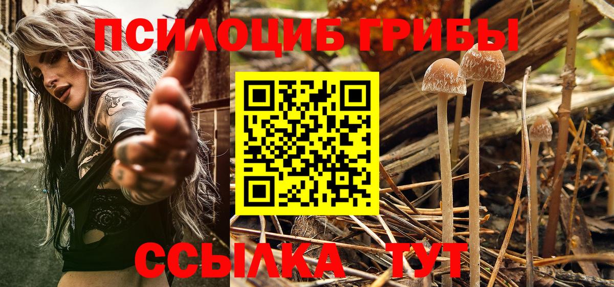 Сочи  Галлюциногенные грибы Psilocybe  Вход с VPN 
